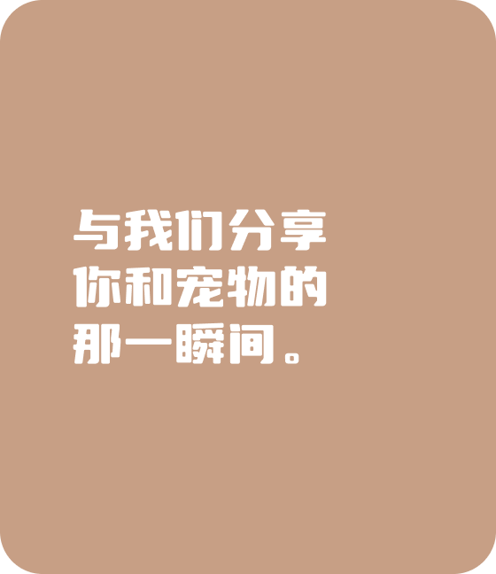 nangong28·(中国区)官方宠物，无处不在